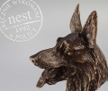 Owczarek z brązu - Nest