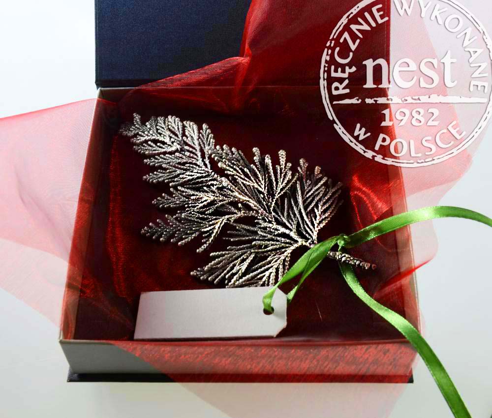 Posrebrzana gałązka tui - prezent na święta